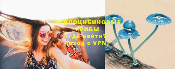 PSILOCYBIN Бронницы