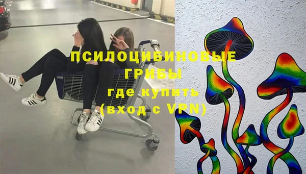 PSILOCYBIN Бронницы