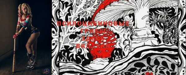 PSILOCYBIN Бронницы