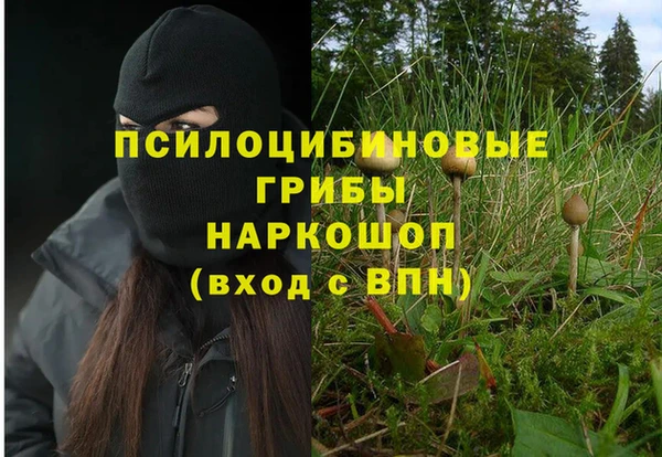 меф Бородино