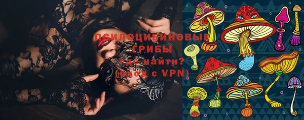 PSILOCYBIN Бронницы