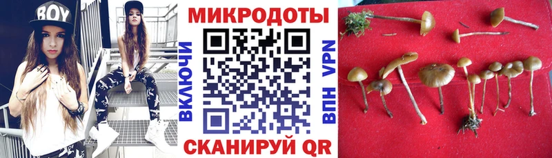 Псилоцибиновые грибы мицелий  сколько стоит  Новый Оскол 